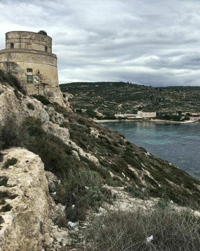 Calamosca