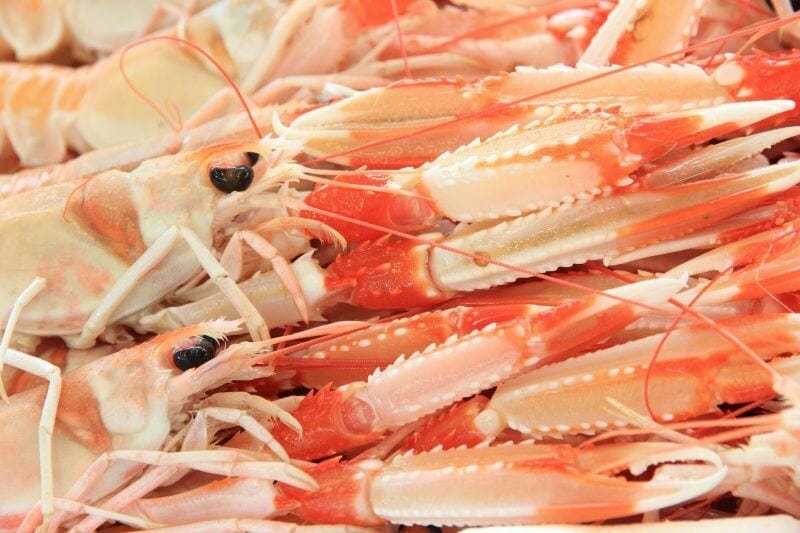 seafood in sardinia