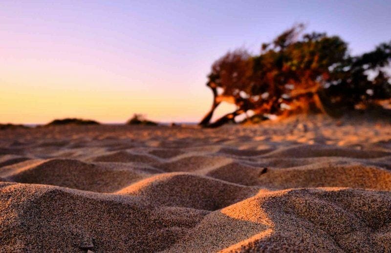 Sardinia sand
