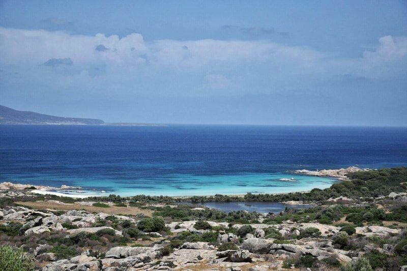Diving Sardinia