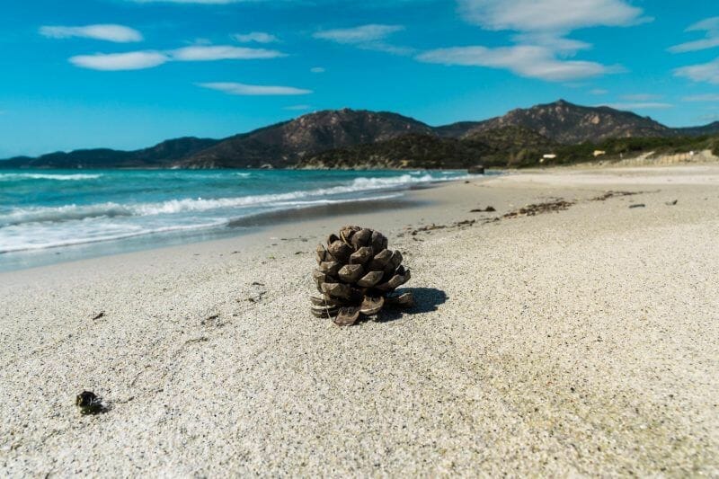Campulongu beach Villasimius