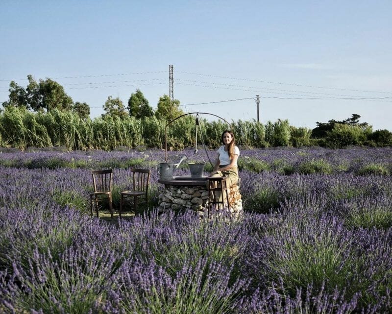 Lavanda di Elvio