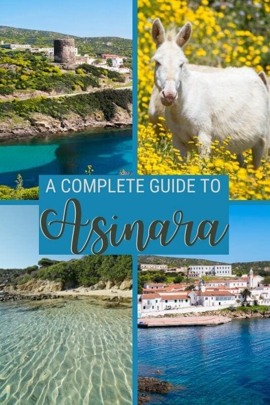 Discover what to see and do in Asinara, Sardinia - via @c_tavani
