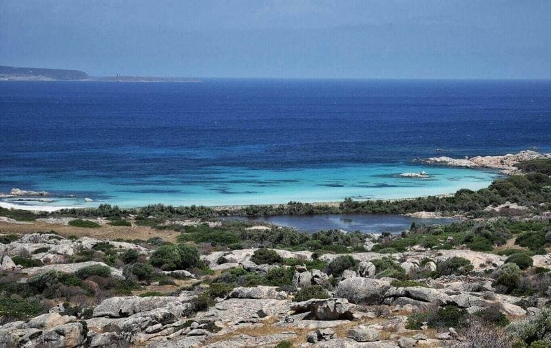 Asinara sailing