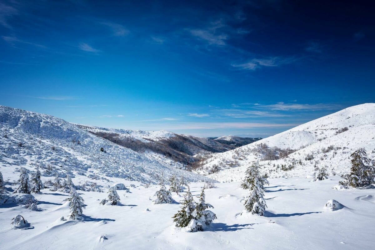 Winter Haven, Florida visual data 4