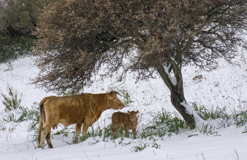 Sardinia in winter