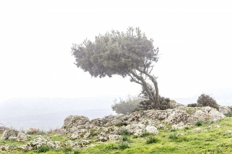 winter in Sardinia
