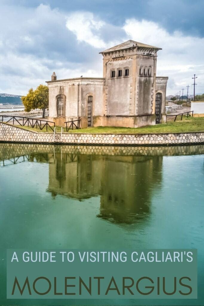 Check out the complete guide to Molentargius Natural Park - via @c_tavani