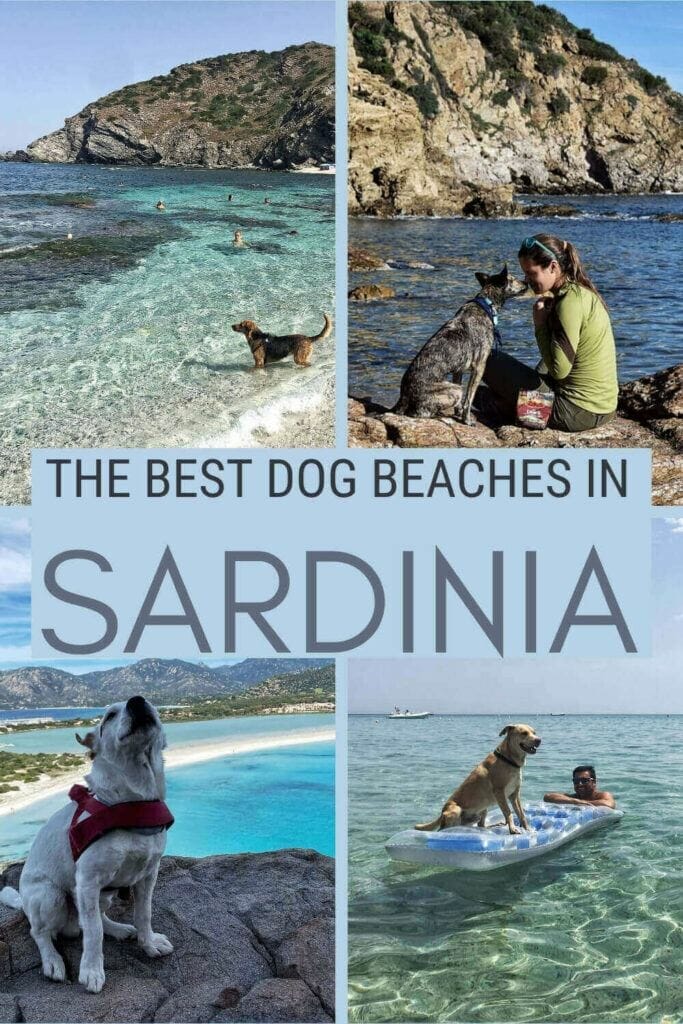 Check out the most dog-friendly beaches in Sardinia - via @c_tavani