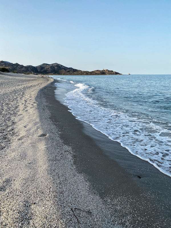 dog friendly beaches in Sardinia