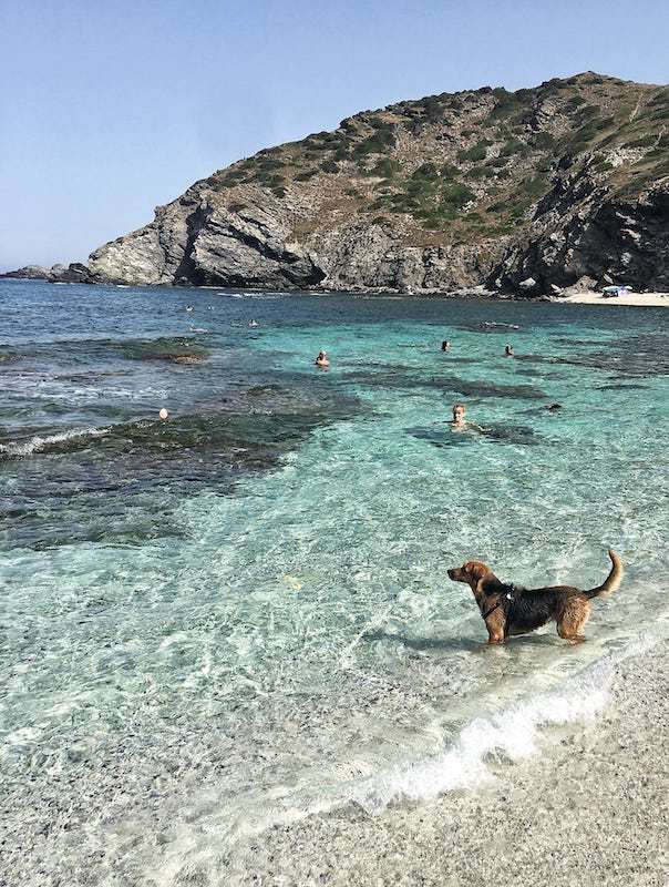 Sardinia sea temperature