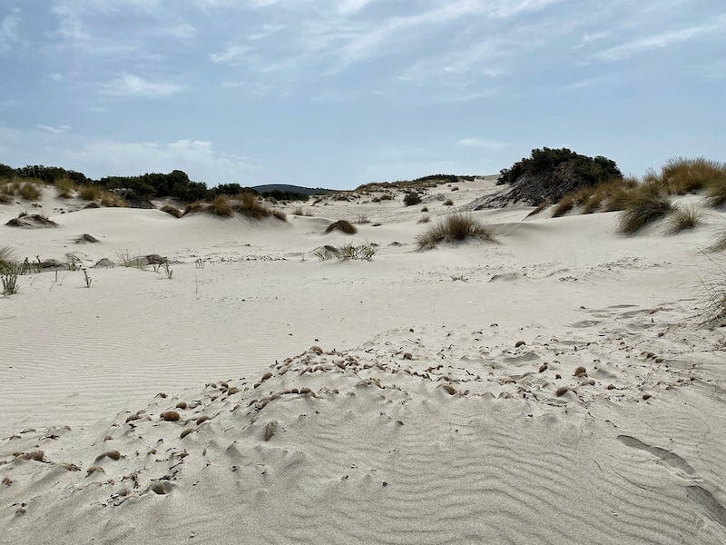 August in Sardinia