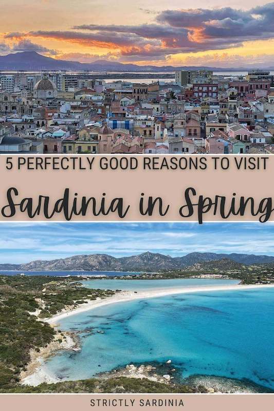 Check out the reasons to visit Sardinia in spring - via @c_tavani