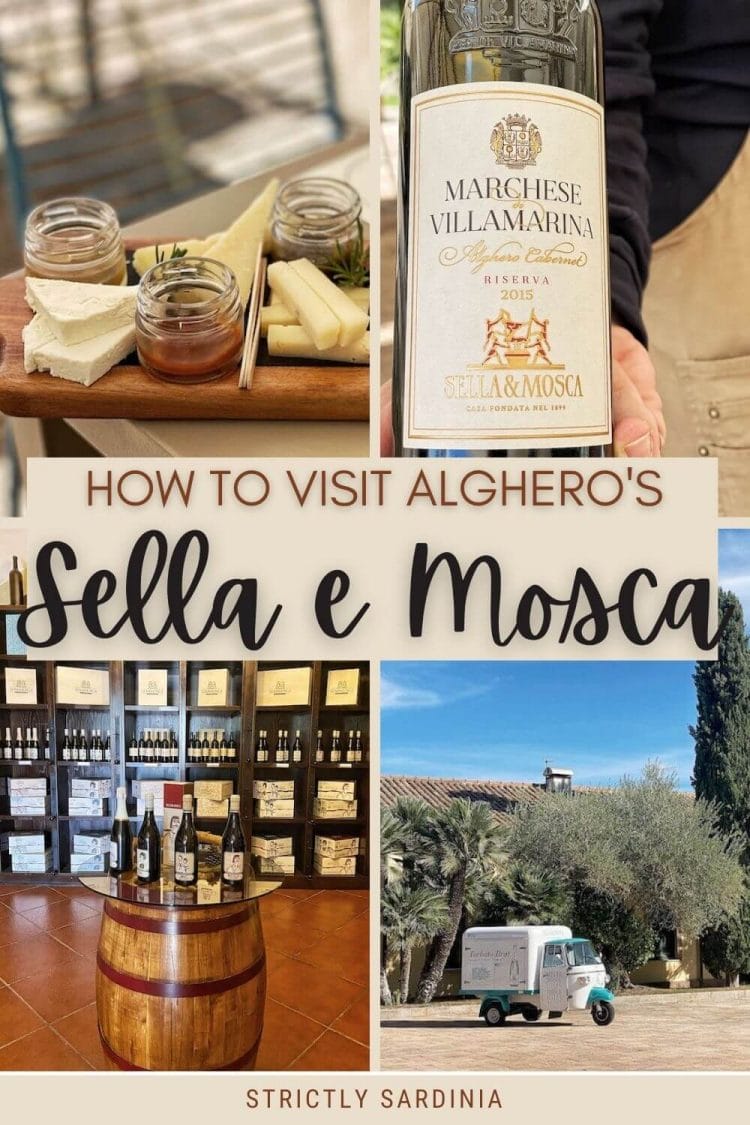 Discover how to make the most of Sella e Mosca Winery, Alghero - via @c_tavani