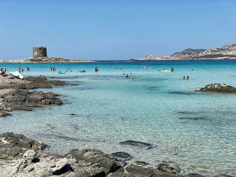 La Pelosa