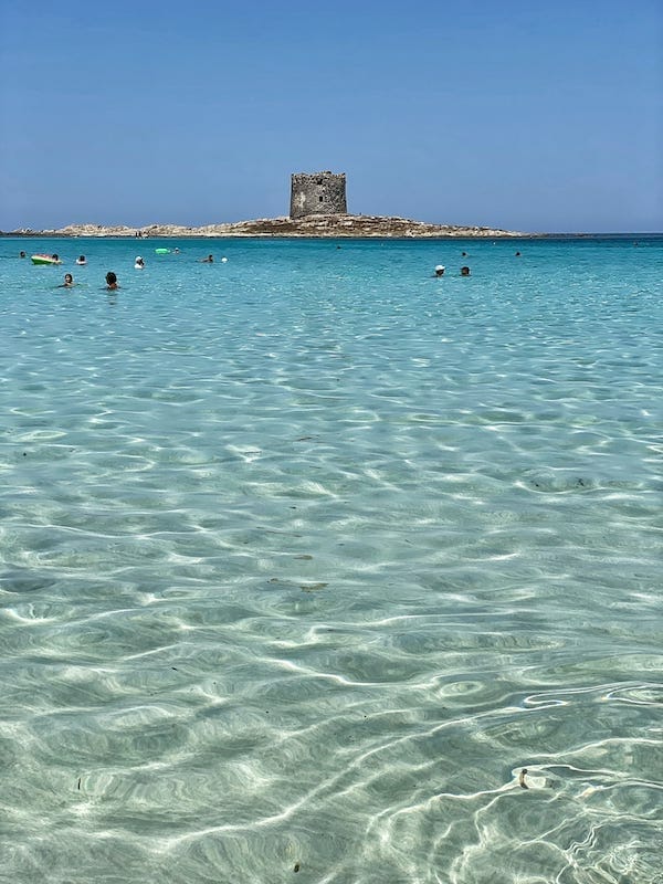 La Pelosa