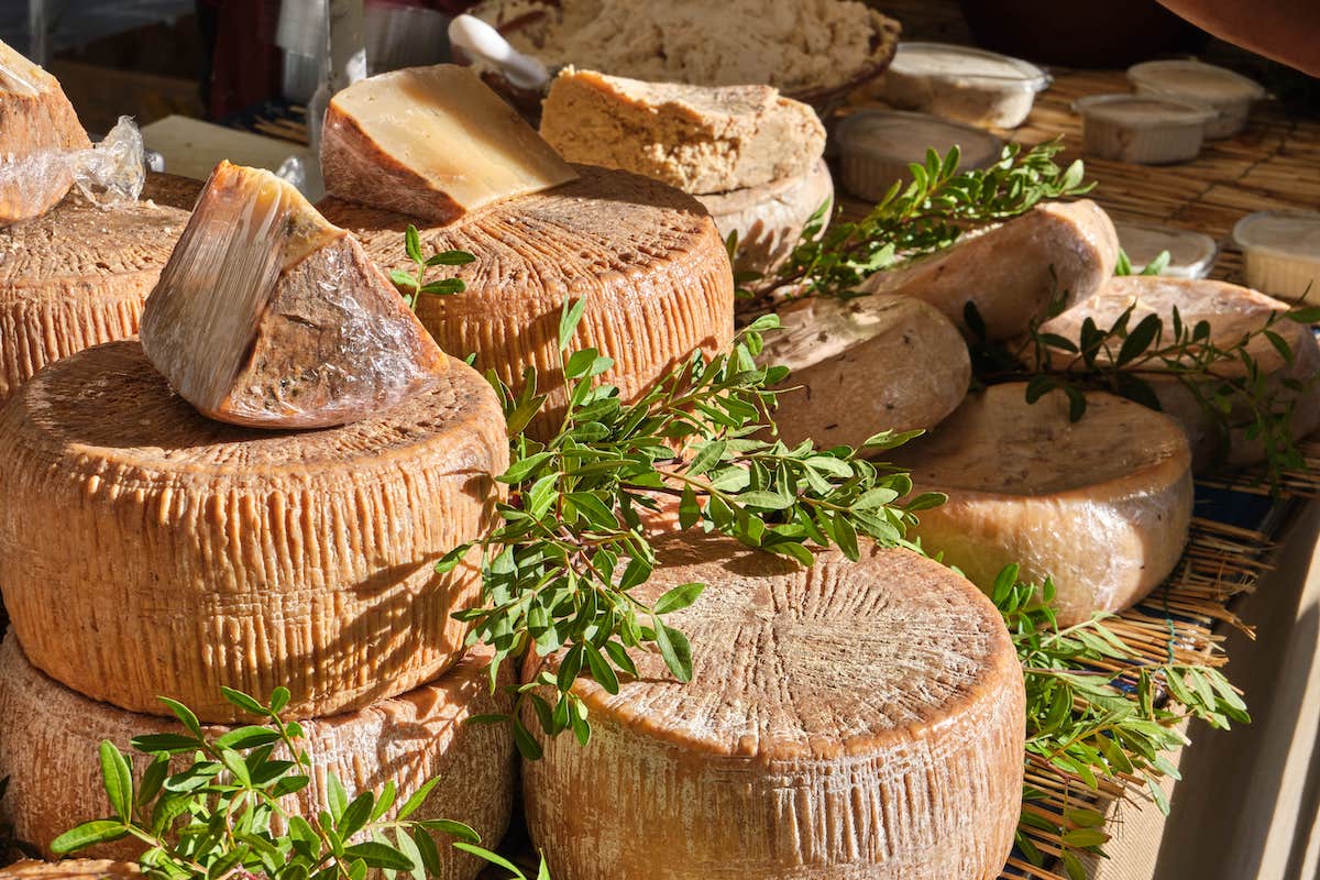 Casu Marzu cheese Sardinian Cheese